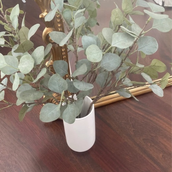 Eucalyptus leafs with white vase